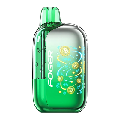 Wintergreen Disposable Vape - Foger Bit 35k