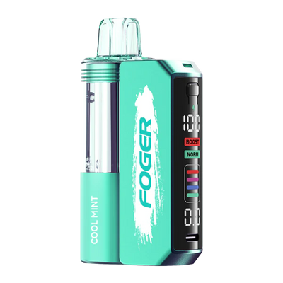 Cool Mint Disposable Vape - Foger Switch Pro 30K Kit 