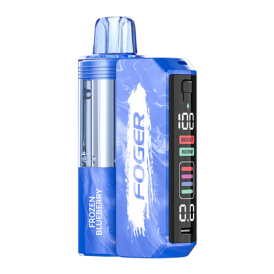Frozen Blueberry Disposable Vape - Foger Switch Pro 30K Kit 