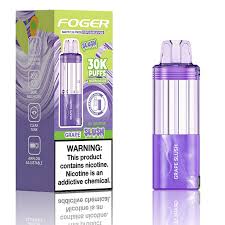 Grape Slush Foger Switch Pro 30K Pod disposable vape packaging